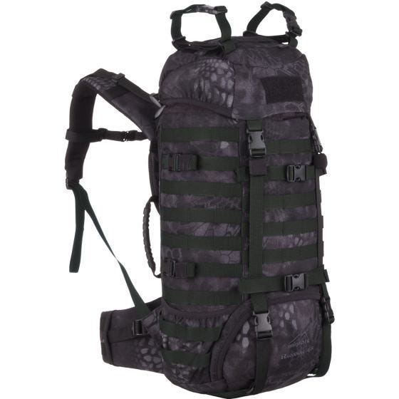 Рюкзак Wisport Raccoon 45 л - Kryptek Typhon