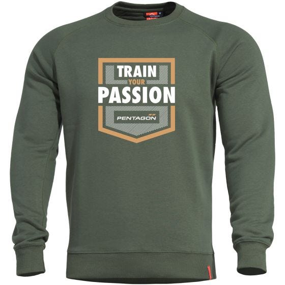 Свитер Pentagon Hawk Train your Passion Camo Green