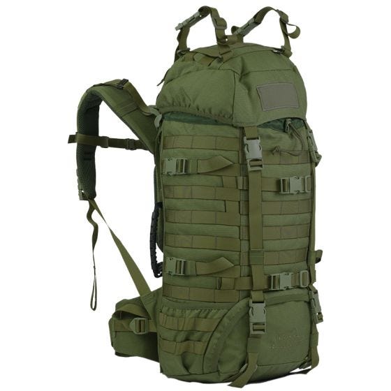 Рюкзак Wisport Raccoon 45 л - Олива